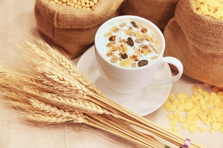 Bere latte d'avena al mattino: ecco a cosa serve, lo sapevi?
